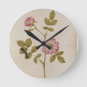 Horloge Ronde Rosa Canina - Dogrose and Caterpillar (pencil & w/