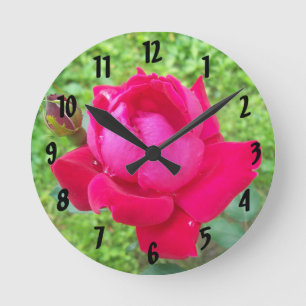 Horloge Ronde Rose dans Bloom