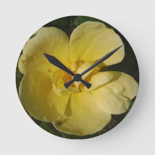 Horloge Ronde Rose jaune sauvage
