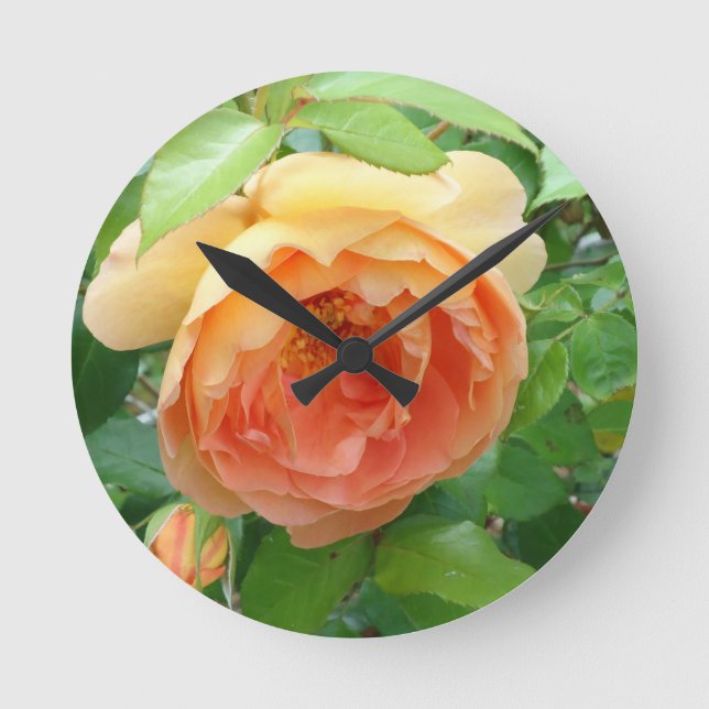 Horloge Ronde Rose orange (Recto)