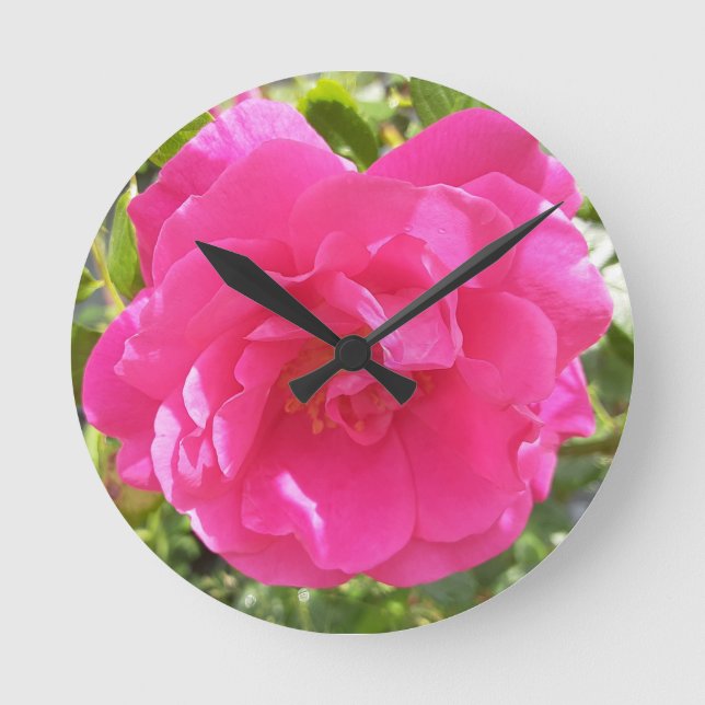 Horloge Ronde Rose rose rose (Recto)