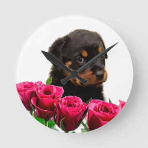 Horloge Ronde Rose Valentin Rottweiler Puppy