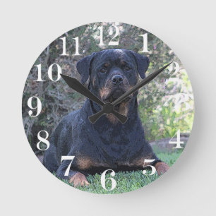 Horloge Ronde Rottweiler