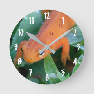 Horloge Ronde Rouge Eft Orange Salamander Nature
