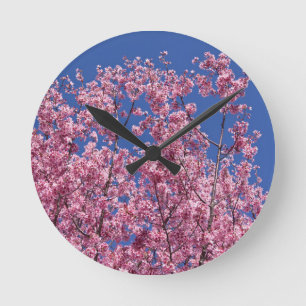 Horloge Ronde Sakura Cerisiers en Fleur Dans Le Bleu
