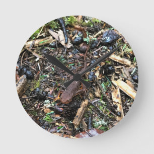 Horloge Ronde Salamandre dans la forêt, Washington