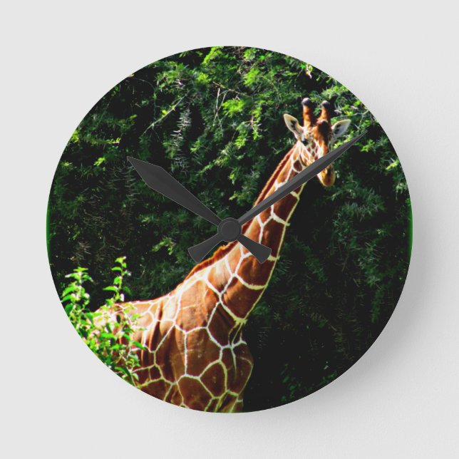 Horloge Ronde Samburu Giraffe (Recto)