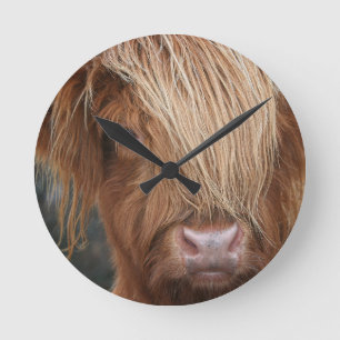 Horloge Ronde Scottish Highland Cows - Scotland