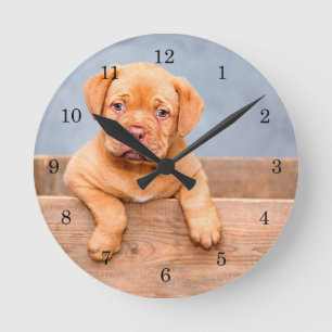 Horloge Ronde Secourir Dogue de Bordeaux Chiot Français