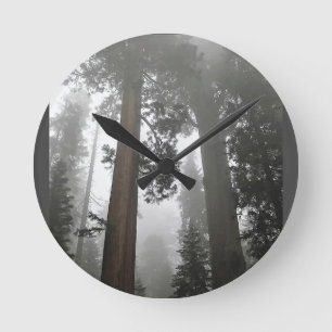 Horloge Ronde Séquoia géantes dans le brouillard, CA