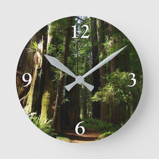Horloge Ronde Séquoias et fougères au parc national de Redwood (Recto)