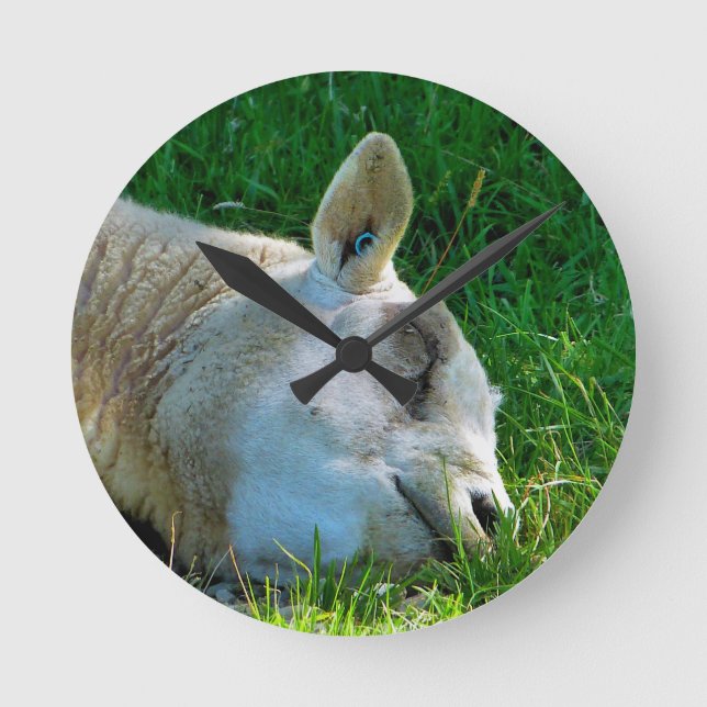 HORLOGE RONDE SHEEP (Recto)