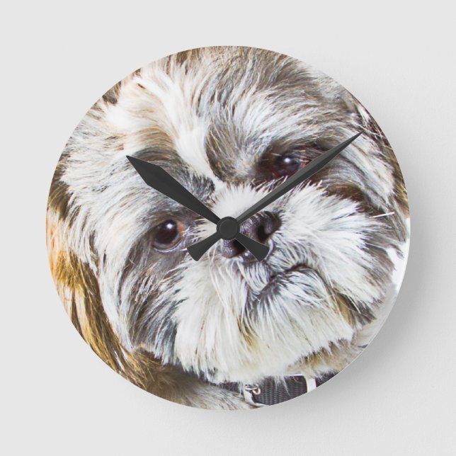 Horloge Ronde Shih Tzu Dog Wall Clock (Recto)