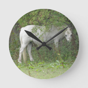 Horloge Ronde Shy White Horse