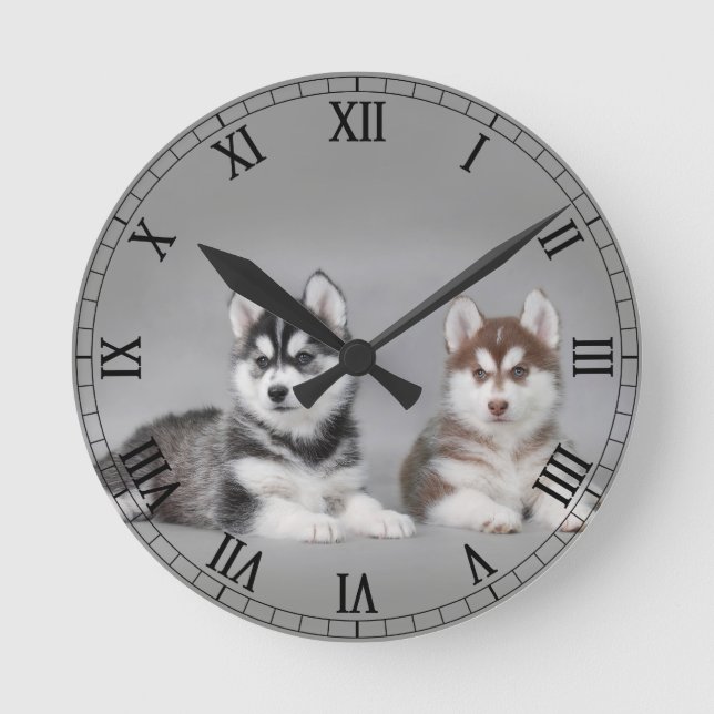 Horloge Ronde Siberian husky puppies (Recto)