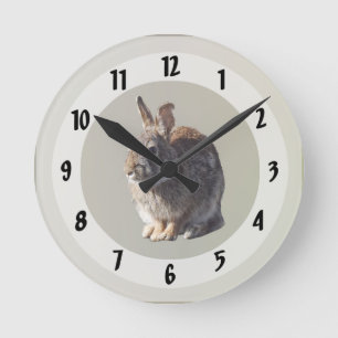 Horloge Ronde Siège de lapin