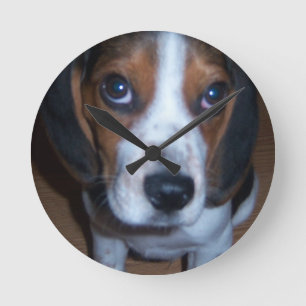 Horloge Ronde Silly Dog Randy beagle puppy