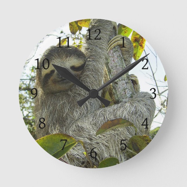 Horloge Ronde Sloth (Recto)