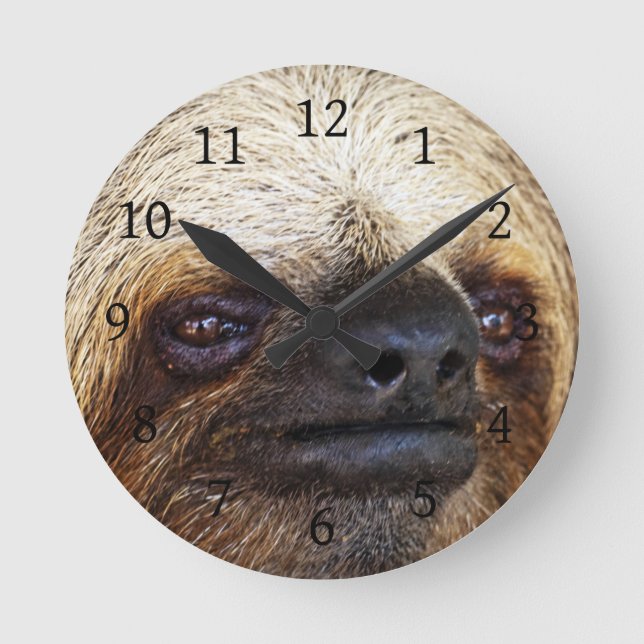 Horloge Ronde Sloth (Recto)