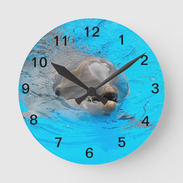 Horloge Ronde Smiling dolphin clock (Recto)