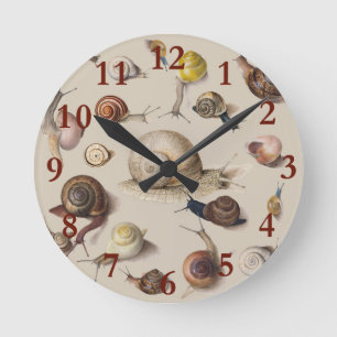 Horloge Ronde Snail Slug Garden Pet Gastropod