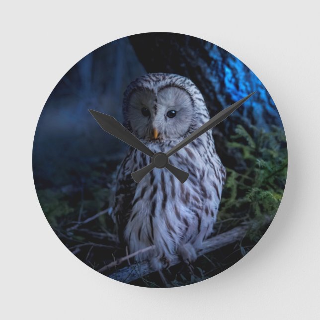 Horloge Ronde Snowy Owl (Recto)