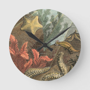 Horloge Ronde Sous la mer