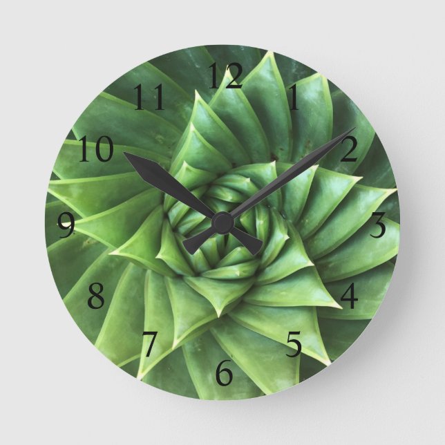 Horloge Ronde Spirale verte brillante Aloe Polyphylla Succulent (Recto)