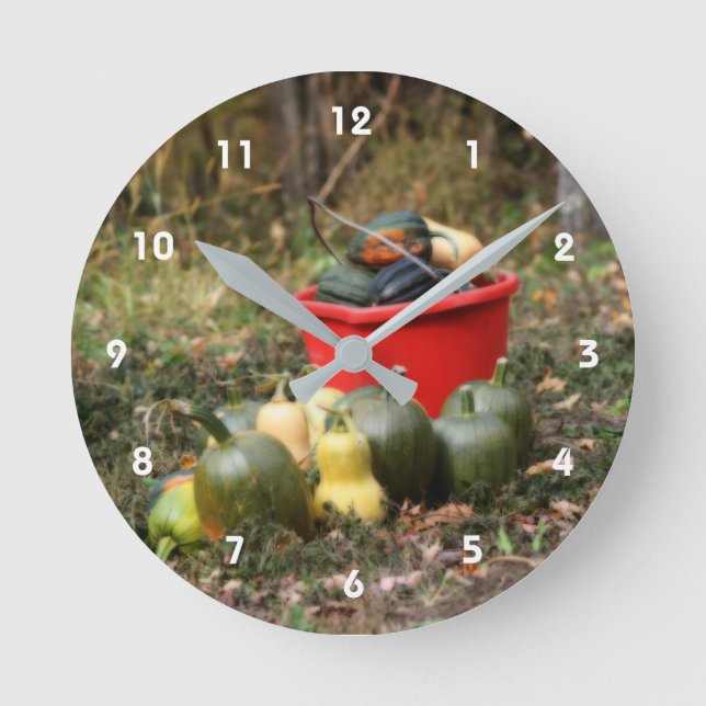 Horloge Ronde Squash Country Garden Harvest Orton (Recto)