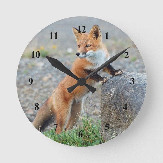 Horloge Ronde Standing red fox (Recto)