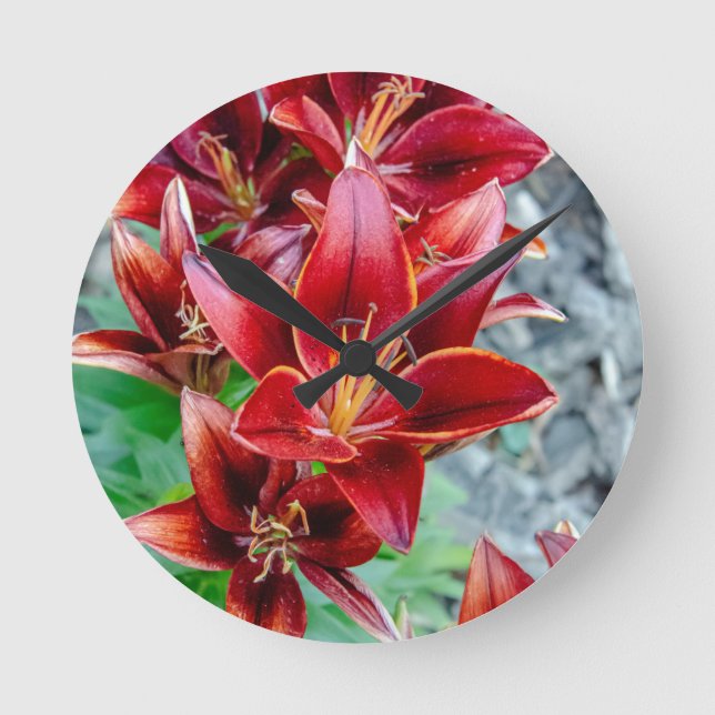 Horloge Ronde Stargazer Lily (Recto)