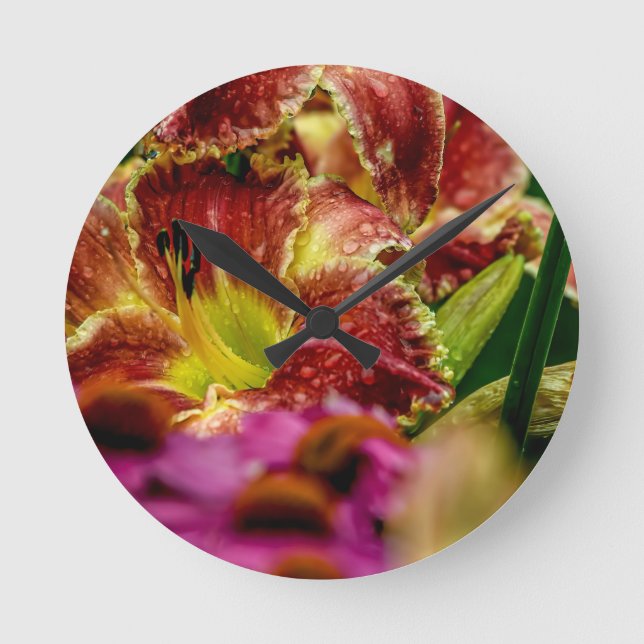 Horloge Ronde "Startle" Daylily  (Recto)