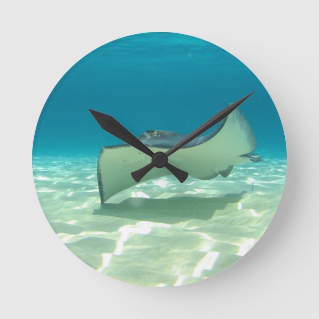 Horloge Ronde Stingray (Recto)