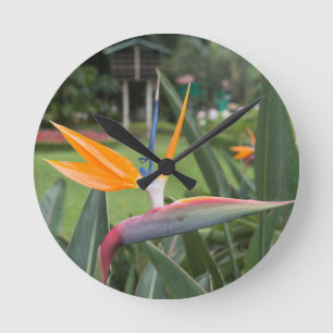 Horloge Ronde Strelitzia Oiseau de fleur de paradis / plante