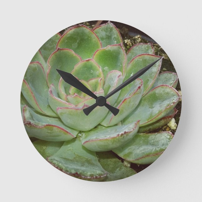 Horloge Ronde Succulent, poules et poulets (Recto)