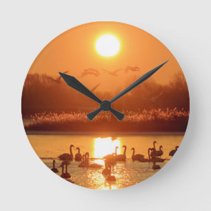 Horloge Ronde Swans dans le lac au coucher du soleil