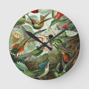 Horloge Ronde tableau classique de la faune des oiseaux colibris