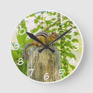 Horloge Ronde Tamia sur un courrier de barrière