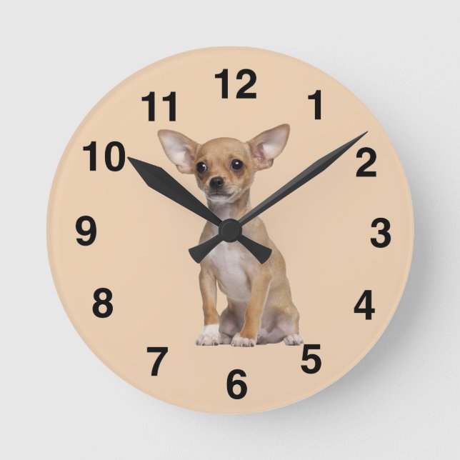Horloge Ronde Tan and White Chihuahua (Recto)