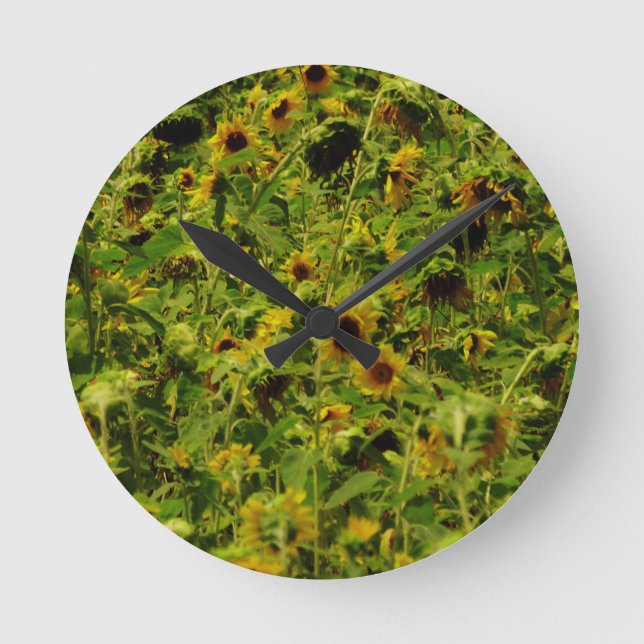 Horloge Ronde Terrain de tournesol (Recto)