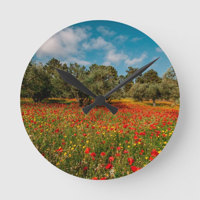 Horloge Ronde terrain fleuri et arboré (Recto)