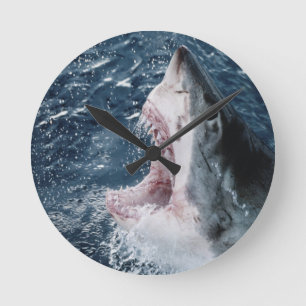 Horloge Ronde Tête de grand requin blanc