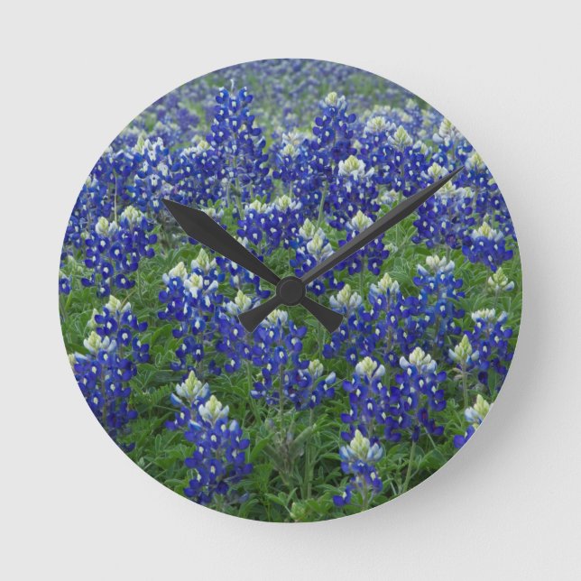Horloge Ronde Texas Bluebonnets Field Photo (Recto)