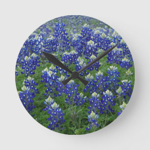 Horloge Ronde Texas Bluebonnets Field Photo