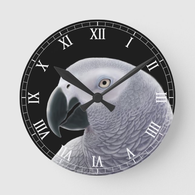 Horloge Ronde The African Gray Parrot (Recto)