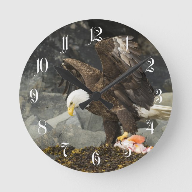 Horloge Ronde The Ultimate Bald Eagle (Recto)