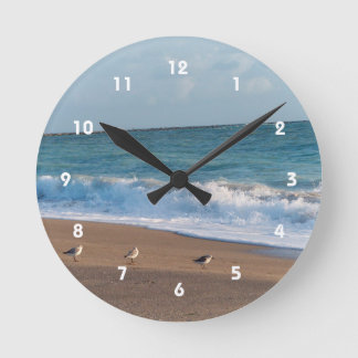 Horloge Ronde three birds on shore florida beach