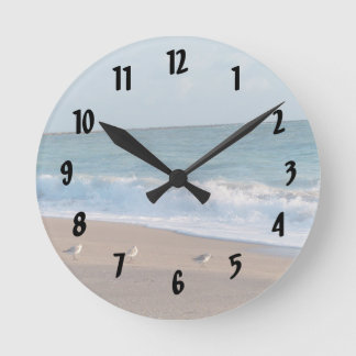 Horloge Ronde three birds on shore florida beach