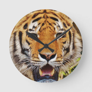 Horloge Ronde Tigre