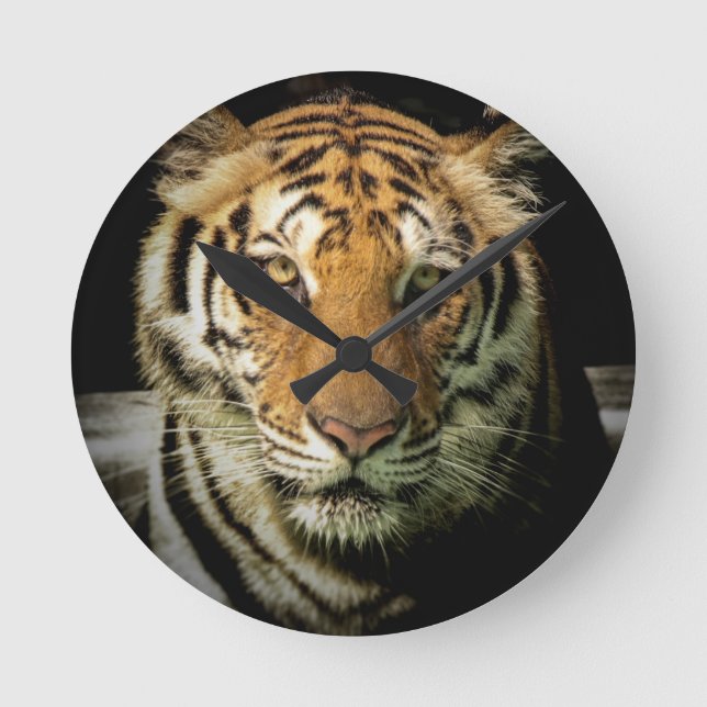 Horloge Ronde tigre (Recto)